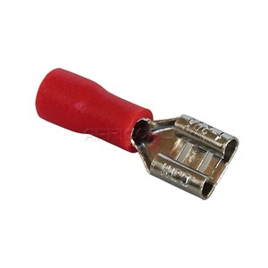 TERMINAL SPADE RED FEMALE