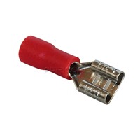 TERMINAL SPADE RED FEMALE