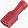 TERMINAL PLASTIC FOR LARGE FEMALE