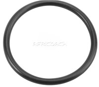 INJECTOR O RINGS FOR MBO500